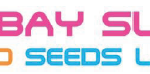 Bombay Super Hybrid Seeds